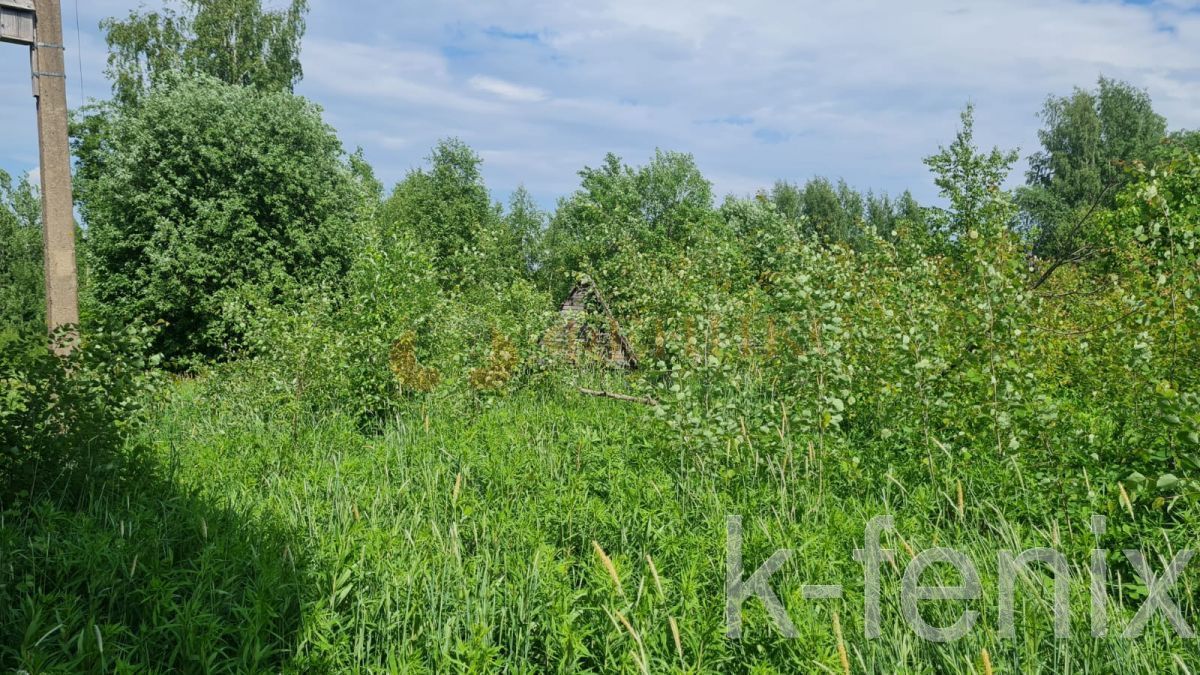 участок 16 сот